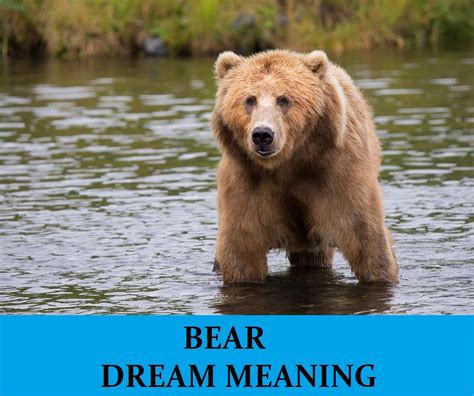 To accept, tolerate, or endure something, especially something unpleasant: Bear Dream Interpretation : Best Dream Meaning Analysis ...