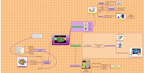 Tecnolog A Y Conocimiento Xmind Mind Mapping Software