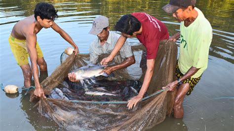 Urgency To Boost Export Oriented Production Through Modern Fish Farming