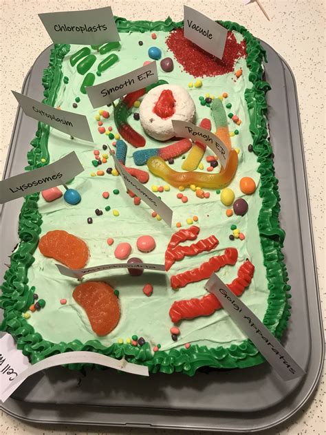 Plant Cell Project Edible Cell Plant Cell Project Plant Cell Cake