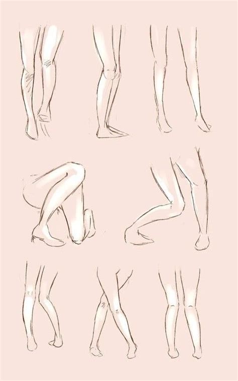 Pin by Ання Уайт on ART•anatomy• | Drawing anime bodies, Drawing legs