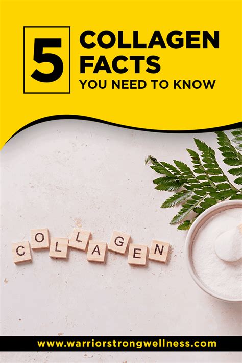 5 Collagen Facts You Need To Know