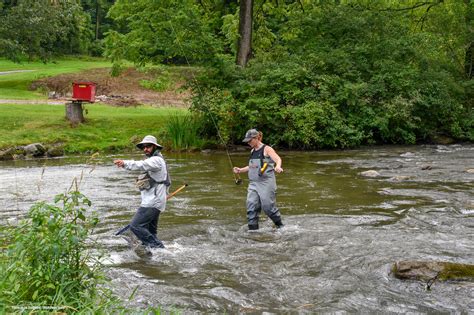 Pheromones And Fly Fishing In Spruce Creek Pennsylvania Kathryn Anywhere