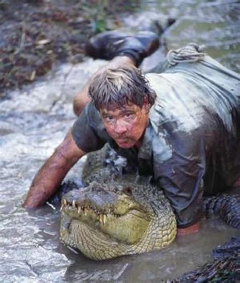 Steve Irwin The Crocodile Hunter Lover Of Australia Hubpages