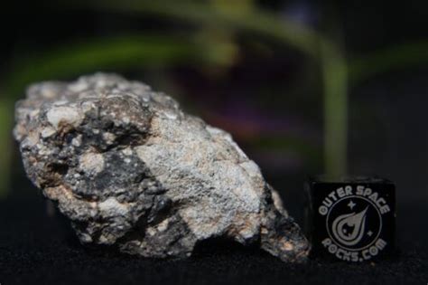 Nwa 11266 Official Lunar Feldspathic Regolith Breccia Meteorite 205