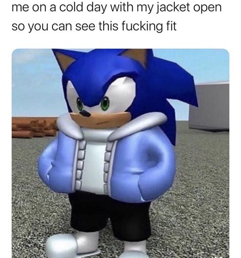 What Is The Name Of This Meme Sonic In A Jacket Nostupidquestions