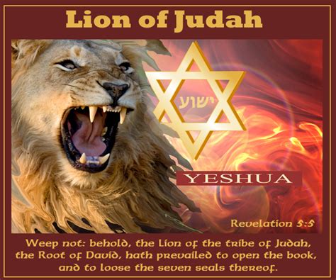 Lion Of Judah Bronze Statue To Israel Jesus Our Blessed Hope