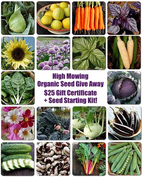 Giveaway 25 In High Mowing Organic Seeds And Complete Seed Starting