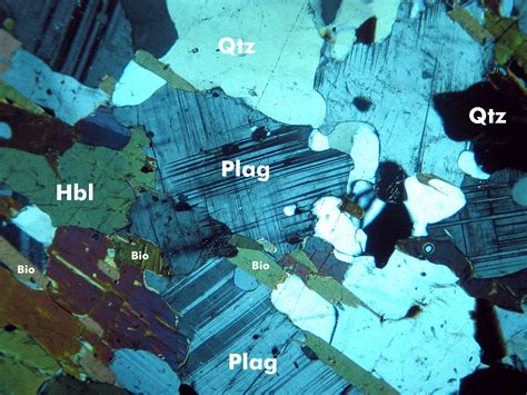 Plagioclase Hornblende Quartz And Biotite In A Gneiss From Near Flin