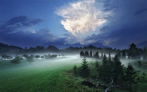 1400x875 Nature Landscape Night Mist Clouds Forest Hill Grass