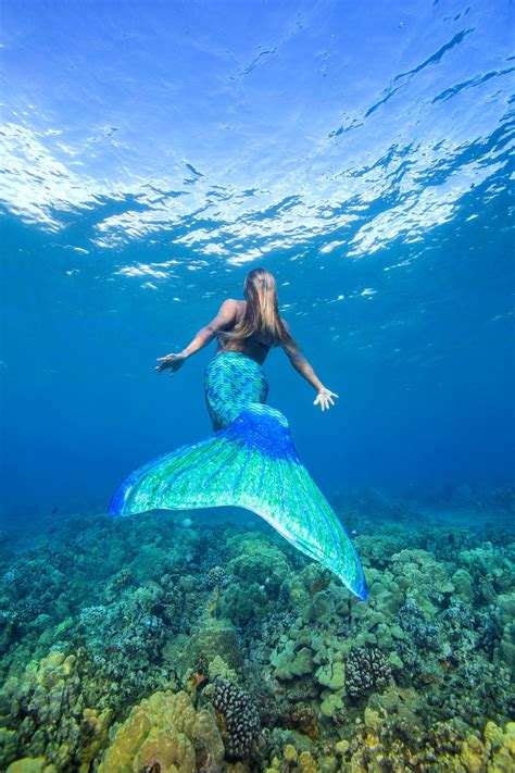 Vestavia scuba supplier to offer 'mermaid camp' - VestaviaVoice.com