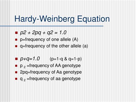 Ppt Ap Biology Chapter 23 Powerpoint Presentation Free Download Id
