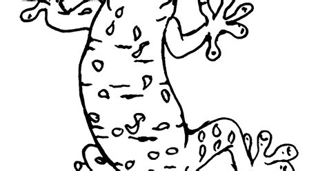 Mewarnai Tokek - Contoh Gambar Mewarnai