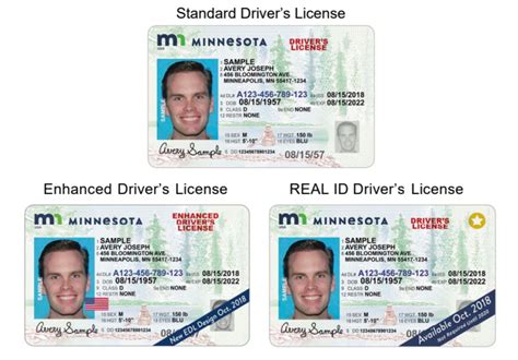 Design For Minnesotas New Drivers Licenses Revealed Including