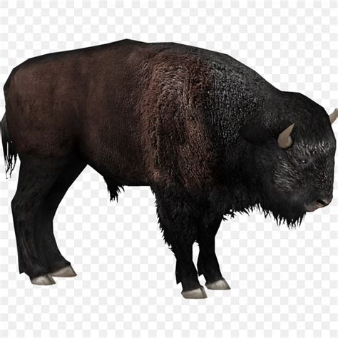 Zoo Tycoon 2 Plains Bison European Bison Steppe Bison