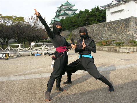 36 Sneaky Facts About Ninjas Japans Hidden Warriors