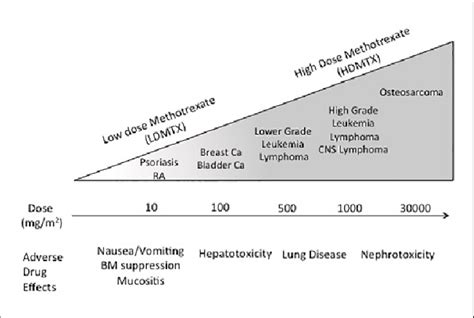 Dosing Of Methotrexate For Various Indications Grouped By Low Dose