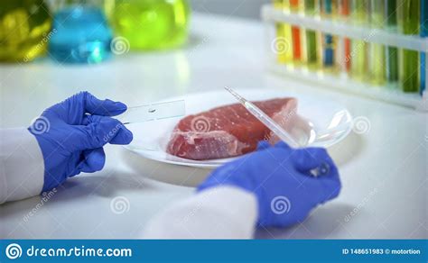 Scientist Conducting Meat Quality Test Dripping Liquid On Glass Asf
