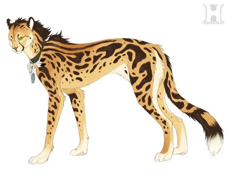 Anime King Cheetah