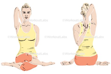 Cow Face Gomukhasana Yoga Poses Guide By Workoutlabs