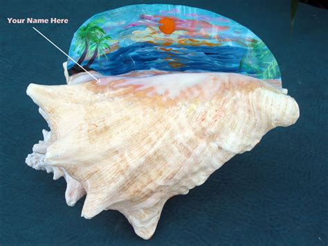 Painted Conch Shells Art By Janis