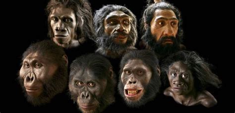 Reconstructions Of Early Humans The Smithsonian Institutions Human