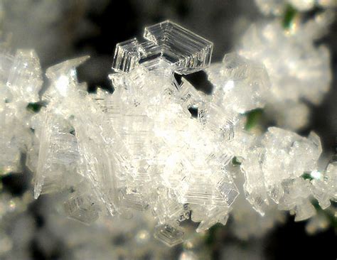 My Nature Photography Ice Crystals In Macro