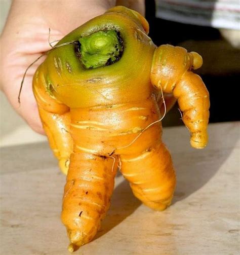 Oddly Shaped Vegetables That Look Like Something Else