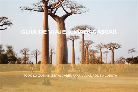 Madagascar La Isla De África Donde Todo Es Diferente Pasaporte Para