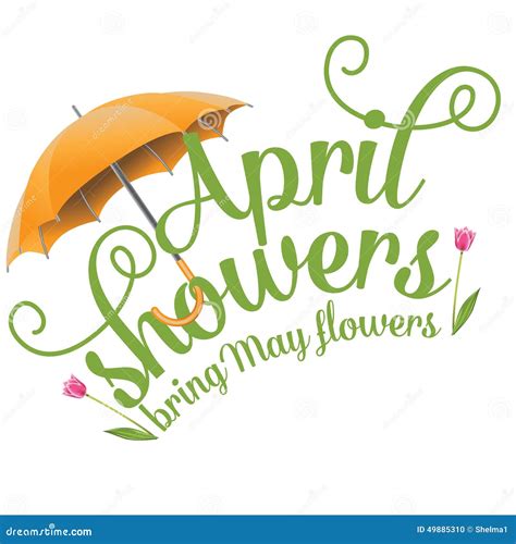 April Showers Bring May Flowers Design Stock Vector Illustration Of