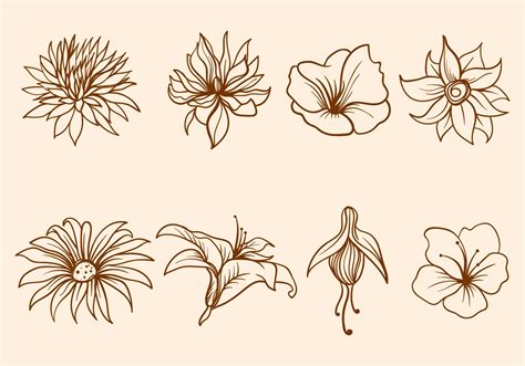Hand Drawn Flower Vector Download Free Vector Art Stock Graphics