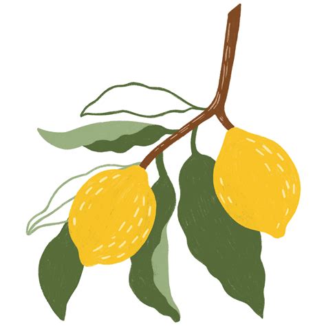 Doodle Lemon Design Element Png Royalty Free Stock Transparent Png