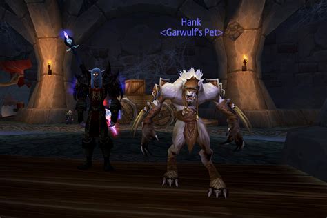 A complete guide to hunter pets in the world of warcraft. WOLF PACK: Best hunter's pets: