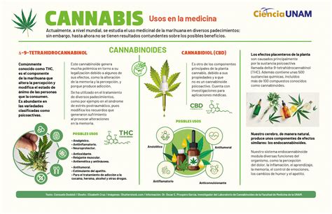 La Marihuana Como Medicina