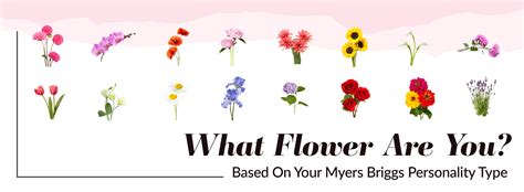 Myers Briggs Personality Type Flowers Which Flower Are You