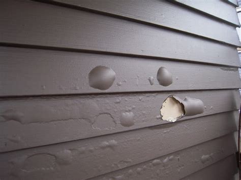 How To Prevent Blistering Paint Redfin