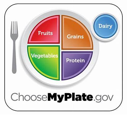 Guidelines Dietary Americans Myplate Pyramid Recently Know