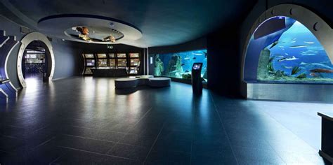 Istanbul Aquarium Istanbul Book Tickets And Tours Getyourguide