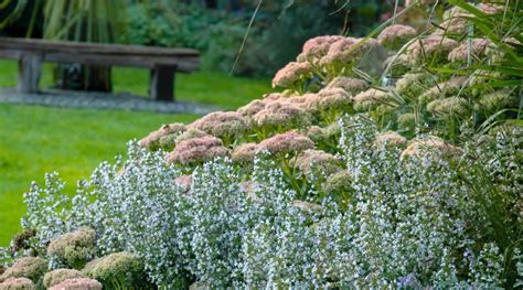 Hallo wir sind auf der suche nach einem gemütlichen kleines häuschen mit garten. Ein Garten mit Geschichte › Wesser