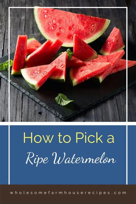 How To Pick A Ripe Watermelon Wholesome Farmhouse Recipes
