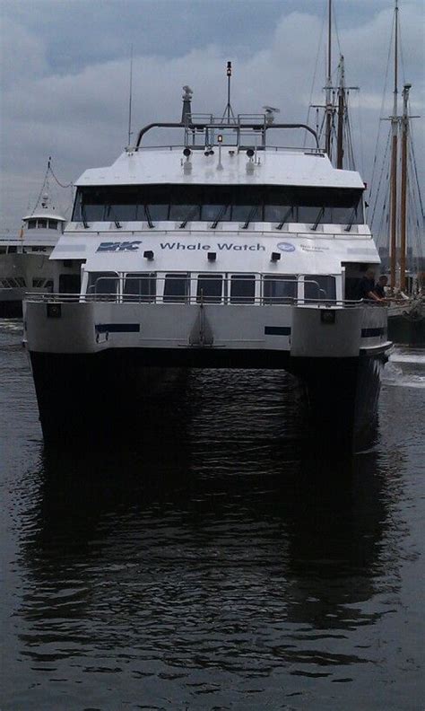 Whale watching out of Boston Harbor. Always a great time in Boston with