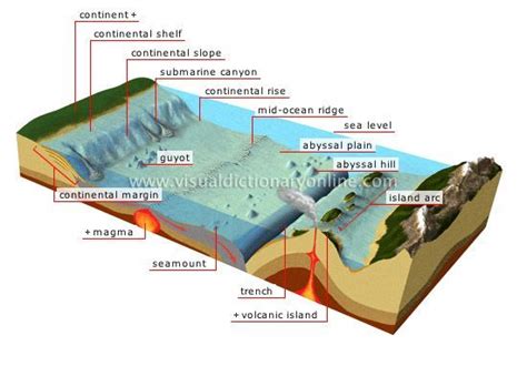 Geologic Landforms Of The Ocean Floor Floor Part Of The Earth S