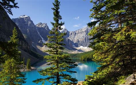 Download Wallpapers Moraine Lake Canada Summer Banff National Park