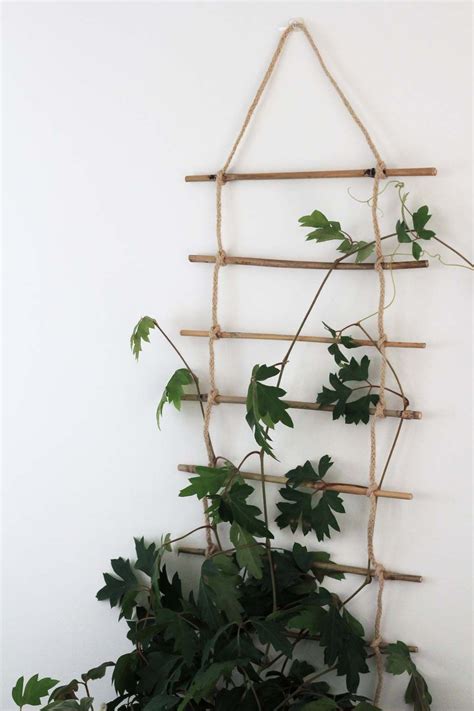 Diy Indoor Plant Trellis From Bamboo And Rope Dossier Blog Trellis