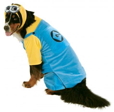 Despicable Me Minions Dog And Cat Costume Pet Costume Center