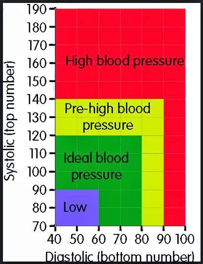 Normal Blood Pressure Range 50 Year Old Male Qqmcuo