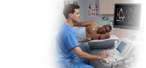 Cardiovascular Ultrasound Cardiology Canon Medical Systems Usa
