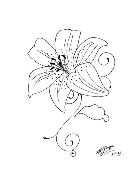 Stargazer Lily Coloring Page At Getdrawings Free Download