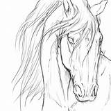 Horse Coloring Friesian Wacom Deviantart Printable Colouring Getcolorings sketch template
