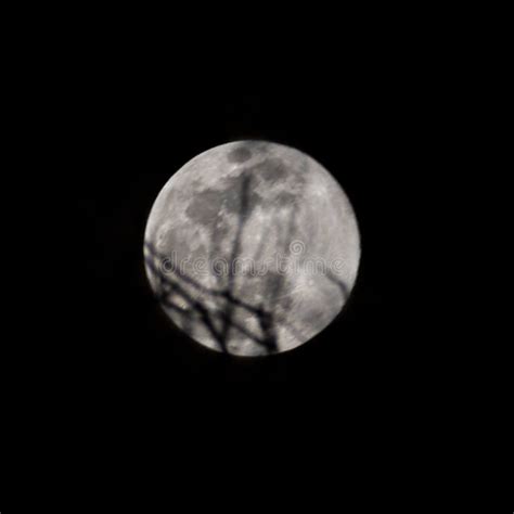 Full Moon Seen Through Tree Branches Stock Image Image Of Super